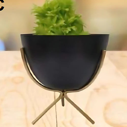 Egg Pot With Stand