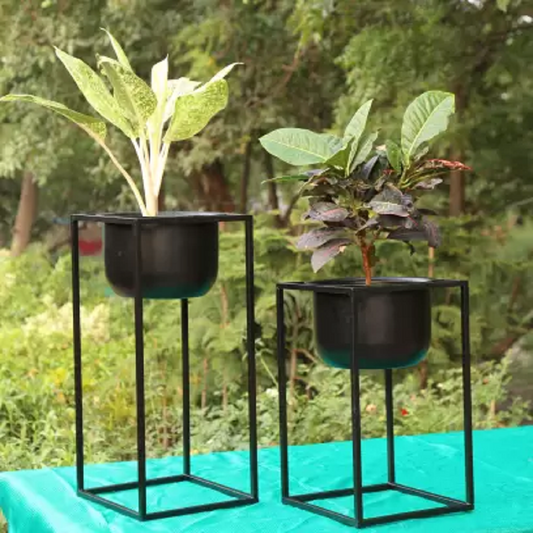 Contemporary Plant Container Set