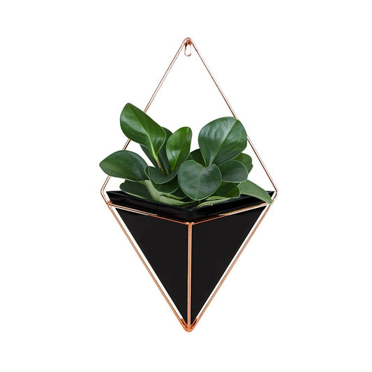 Iron Wall Hanging Planters (Set of 2)