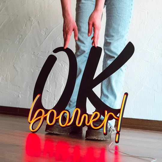 Ok Boomer Metal wall art with Red Neon Strip LED
