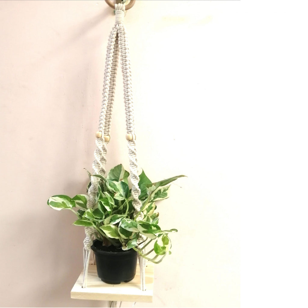 Macrame Small Selves Hanger