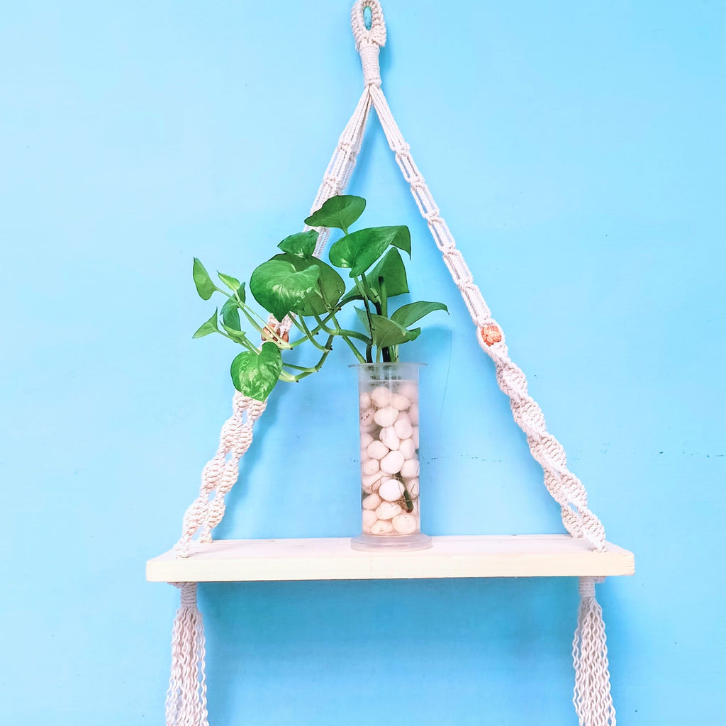 Macrame New Single Selves Hanger