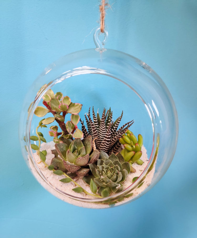 Spherical Nest Glass Teranium